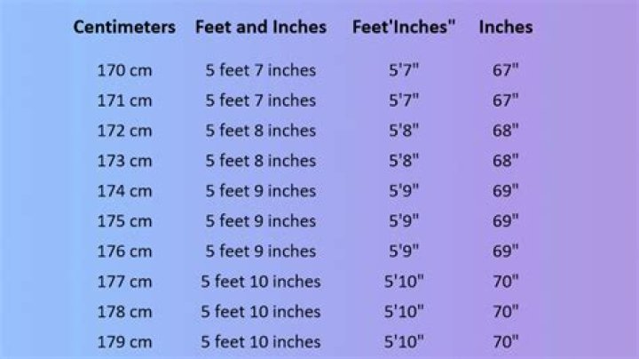 310 cm to feet and inches