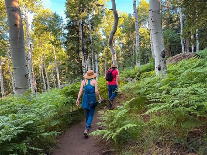 A Flagstaff Gem With Hidden Treasures