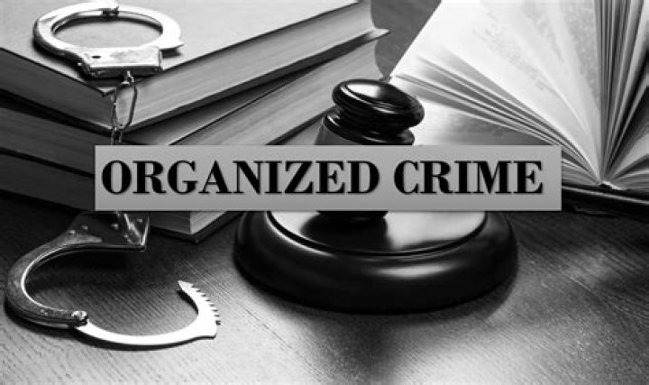 A Journey Into Organized Crime