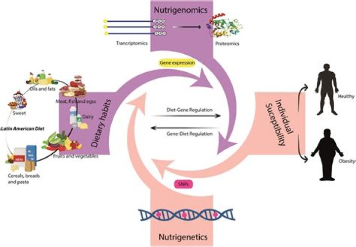 A Journey Of Genetics, Nutrition, And Personal Identity