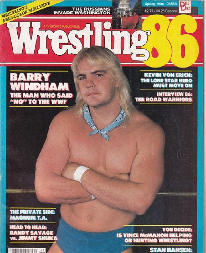 Barry Windham - BlogPaper
