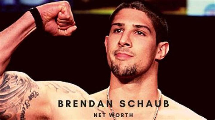 Brendan Schaub - WebBlog
