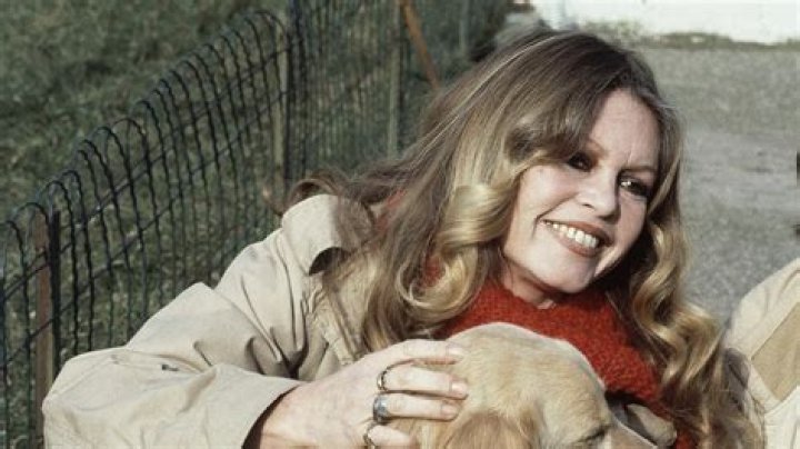 Brigitte Bardot's Net Worth Revealed