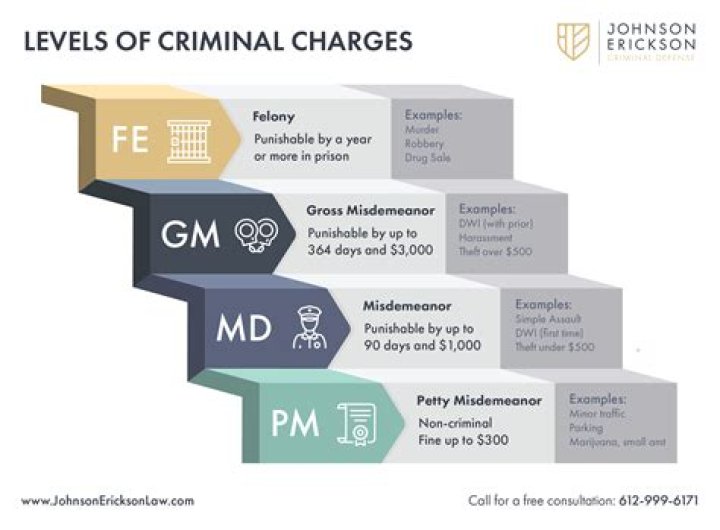 Criminal And Felony Charges ·
