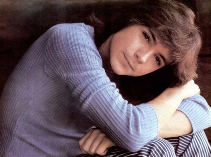 David Cassidy Net Worth - SkyVlog