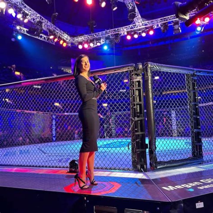 Did UFC Reporter Megan Olivi Get A Nose Job? Fans Are Curious To Her No Make Up Pictures To Confirm The Rumors ·