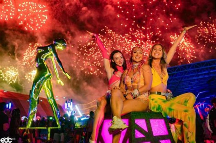 Ecstasy, Alcohol Blamed in Deaths of Two Electric Daisy Carnival Attendees The Hollywood Reporte
