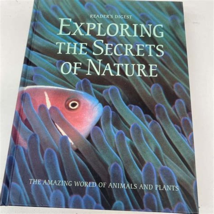 Exploring The Secrets Of Her Stature