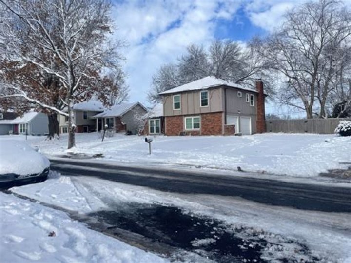 Friends Found Dead In Backyard