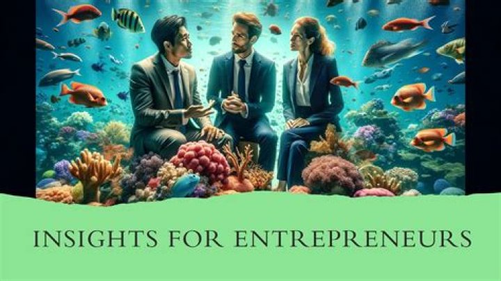 Insights And Discoveries For Entrepreneurs
