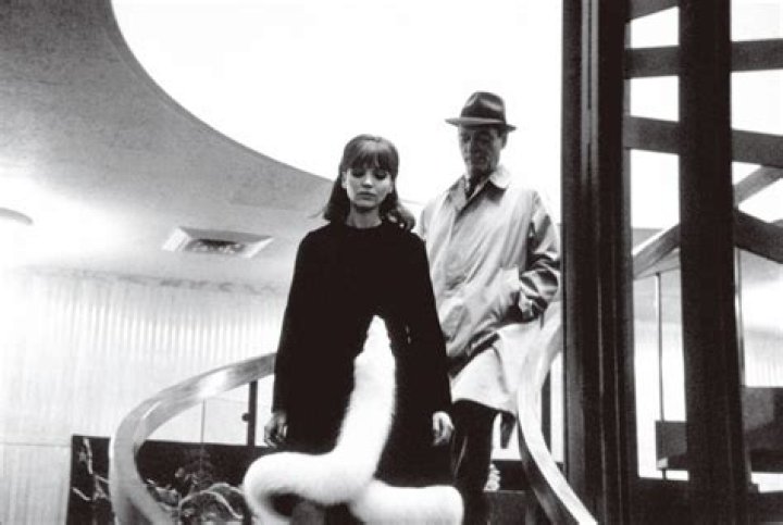 Joseph Frontiera is an American television personality who is known for his work on Counting Stars. ·