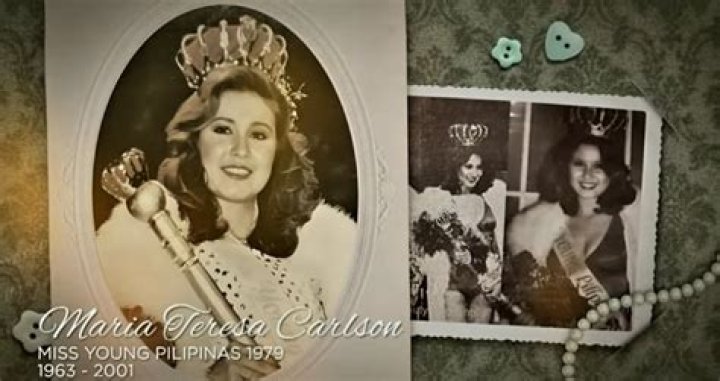 Maria Teresa Carlson Net Worth