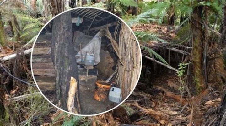 Rare Photos Reveal Hidden Stories