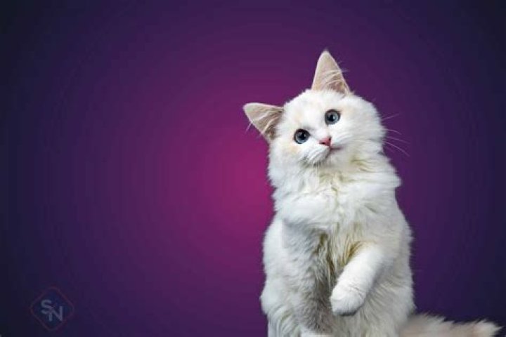 Secrets Of A Media Mogul