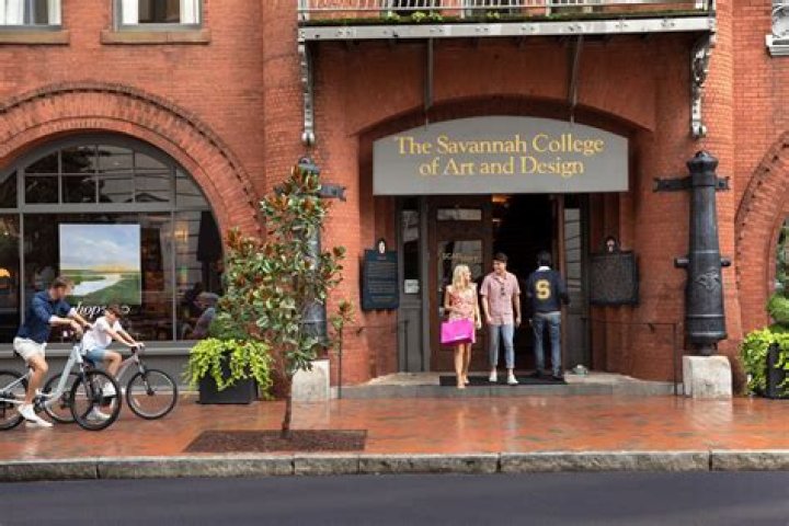 The Rising Star In The World Of Art And Design