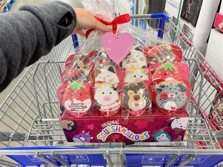 Uncover The Sweetest Delight: Squishmallows Cookie Bouquets
