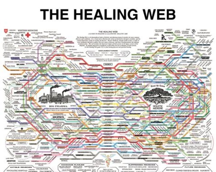 Unravel The Healing Web: Discoveries And Insights