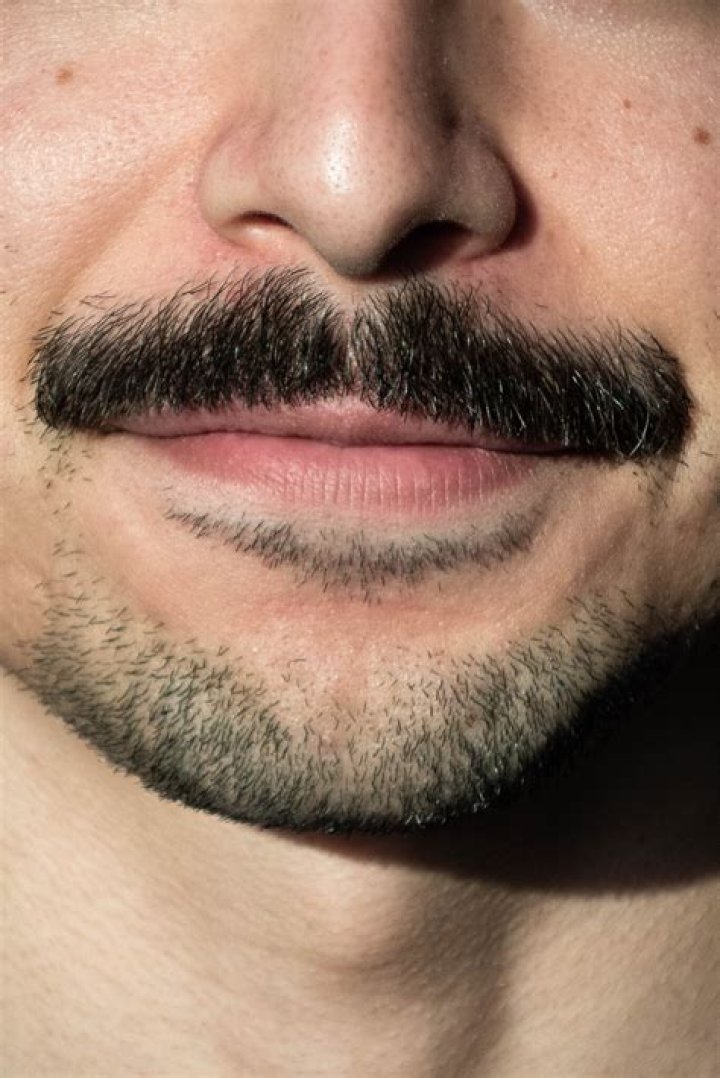 Unveiling The Enigmatic Charm Of 70s Moustaches