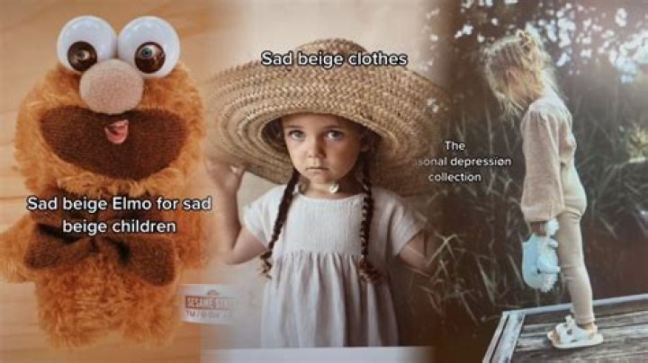 Unveiling The Melancholy Genius Of "Sad Beige Werner Herzog"