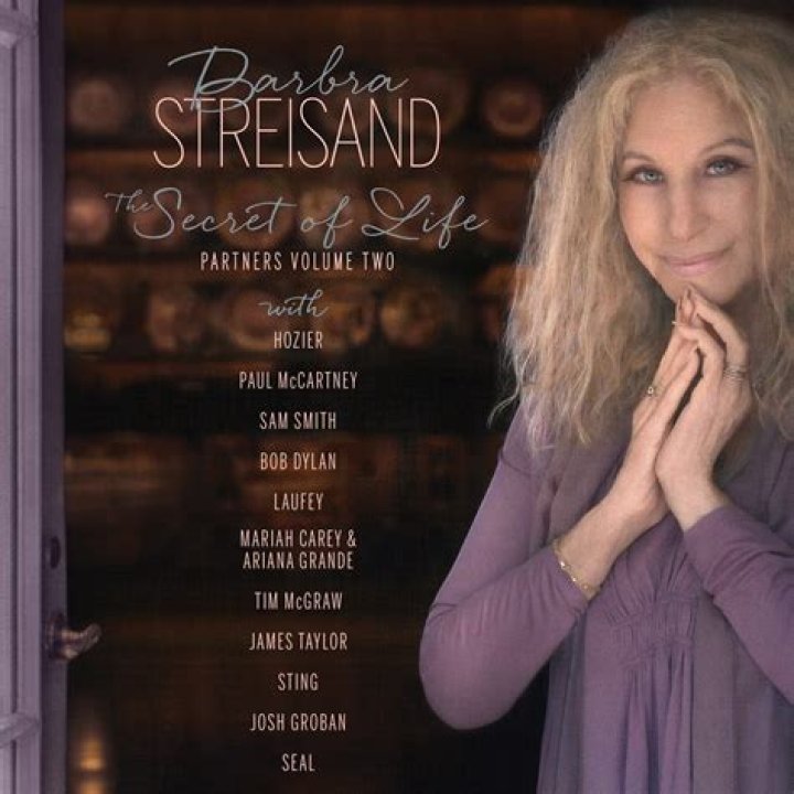 Unveiling The Secrets Behind Barbra Streisand's Indispensable Assistant, Renata