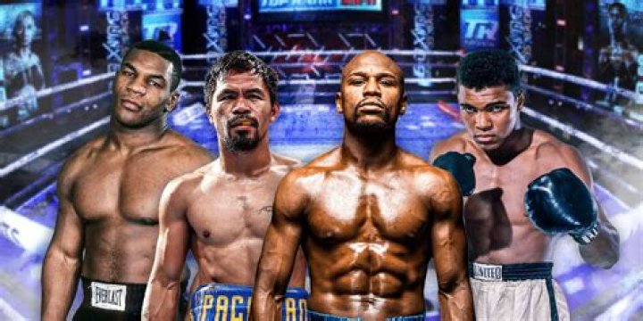 Where Is The Boxer From? Origin Family And Net Worth ·